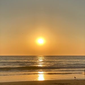 Meet your Posher, Nadine